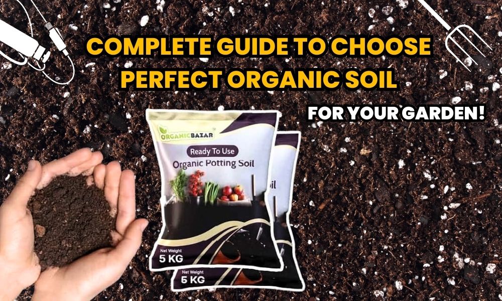 Complete Guide to Choose Perfect Organic Soil for Your Garden!